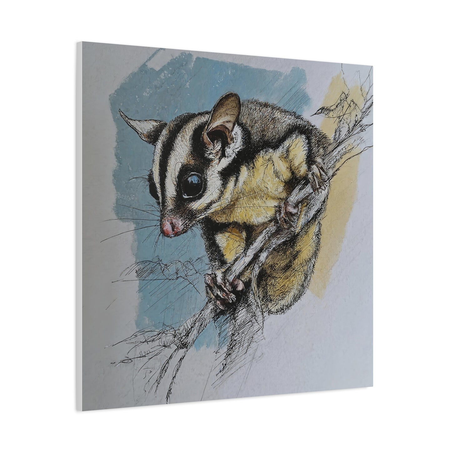 Sugar Glider Art Canvas Print, Wildlife Decor