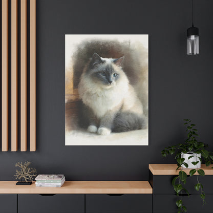 Ragdoll Portrait Canvas Wall Art