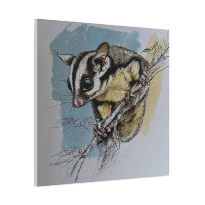 Sugar Glider Art Canvas Print, Wildlife Decor