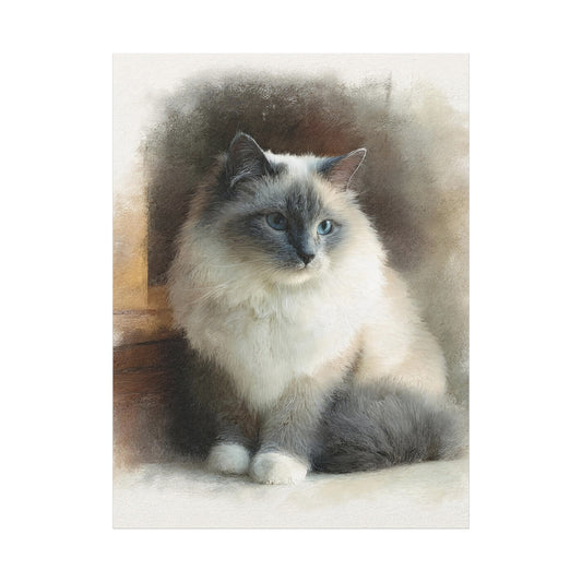 Ragdoll Portrait Canvas Wall Art